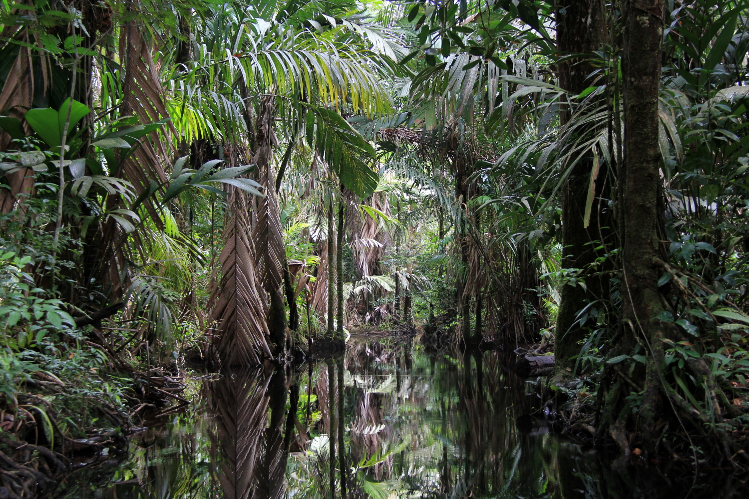 Costa Rica
